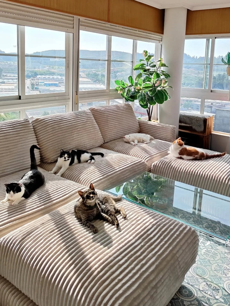Sofá Modular en casa de 4gatos_4hermanos