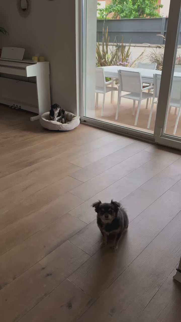 La Siesta en tu casa · nuriapajares compartit.mp4